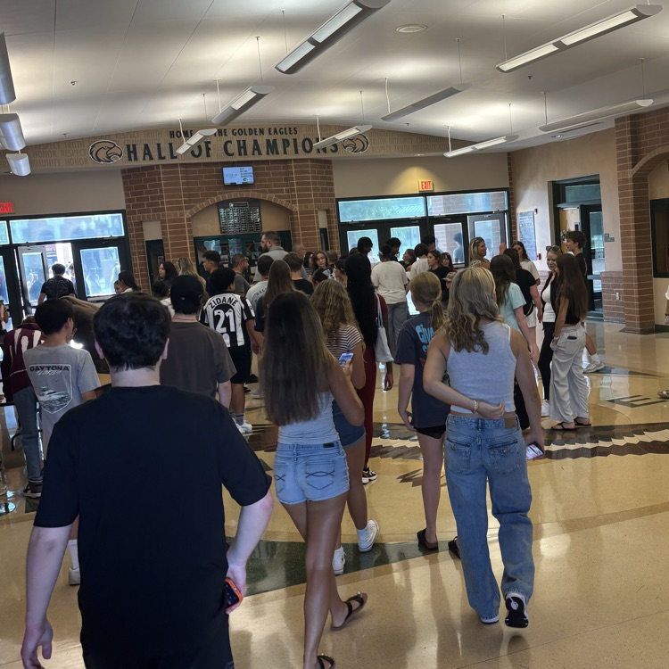 Schedule Walks