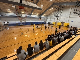 Oakleaf Jr. Athletics