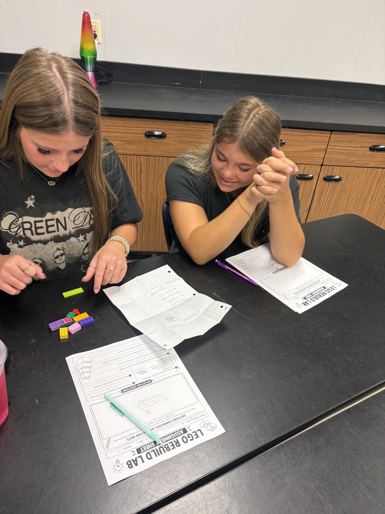 Two students completing an activity