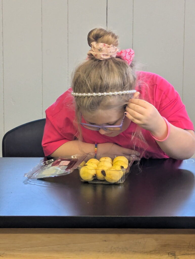 A young girl in a pink shirt examines small yellow items in a plastic container on a desk.