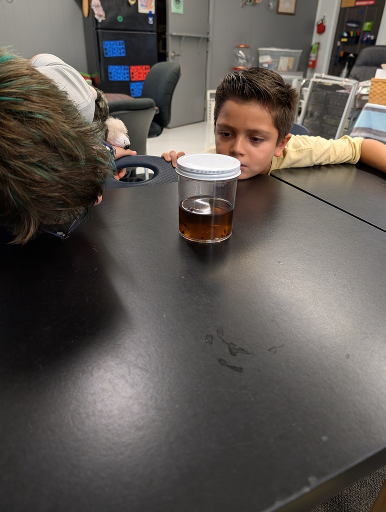 A child observes a liquid in a clear container on a table in a classroom. Another person leans over to see.