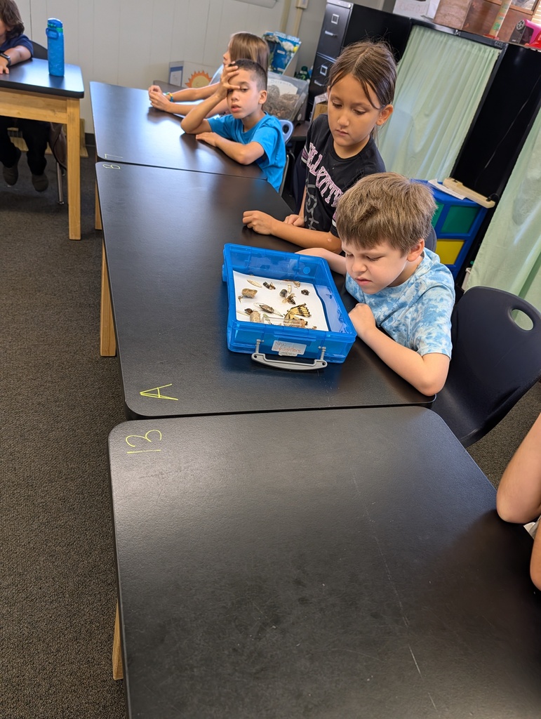 Four children are seated at desks. One child in a blue shirt looks into a blue box.