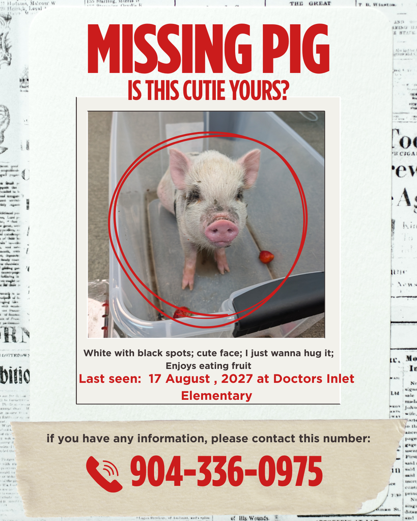 Poster with a headline reading "Missing Pig is this cutie yours?" Shows an image of a small pig in a tub. Text reads "White with black spots; cute face; enjoys eating fruit."