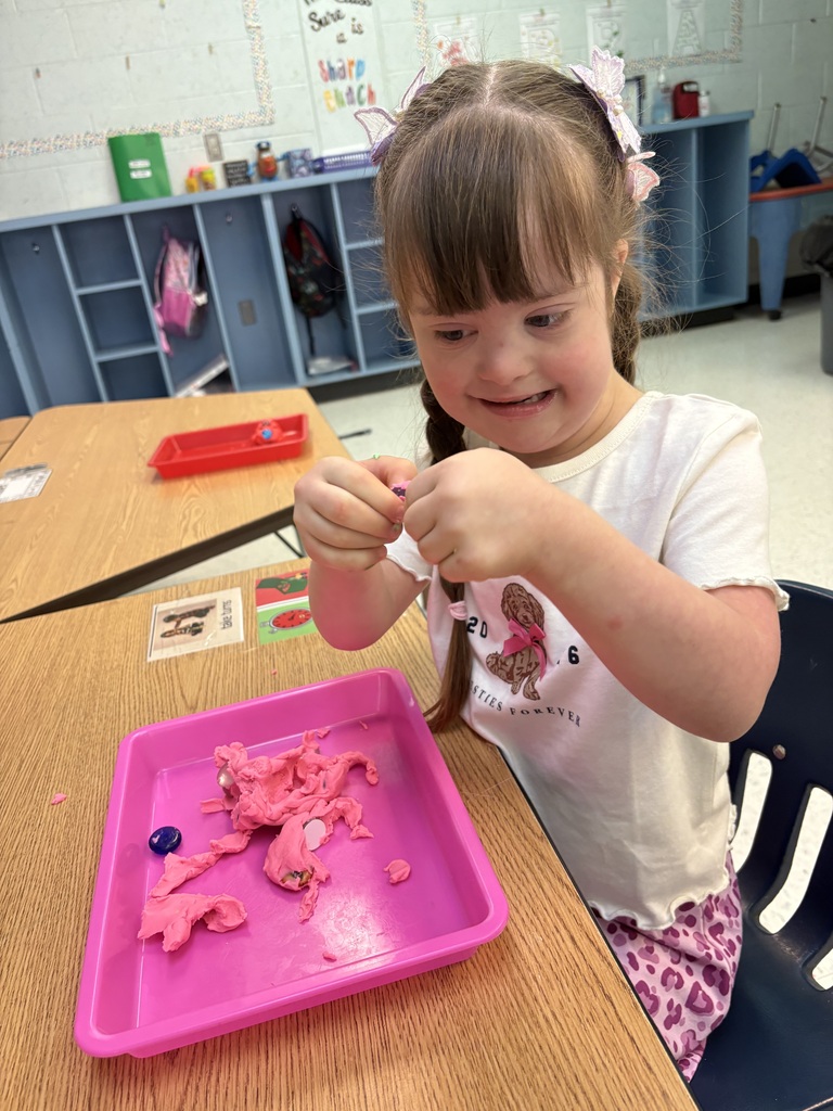 It’s a groovy day in Mrs. Ellsworth’s class! 🐾✨ Our learners dove into the world of Pete the Cat—using their hands, bodies, and voices to master literacy, colors, and counting! From tactile sorting to visual matching, these superstars learn best when they can move, play, and make some noise! 🎨🔢 #GroovyLearners 🐾 #HandsOnClassroom 🎨 #PeteTheCatPreschool 📚