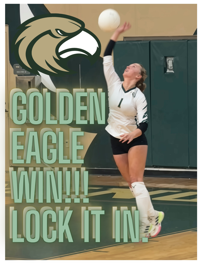 Volleyball Win!
