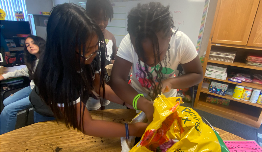 students digging in soil inside a classroom 