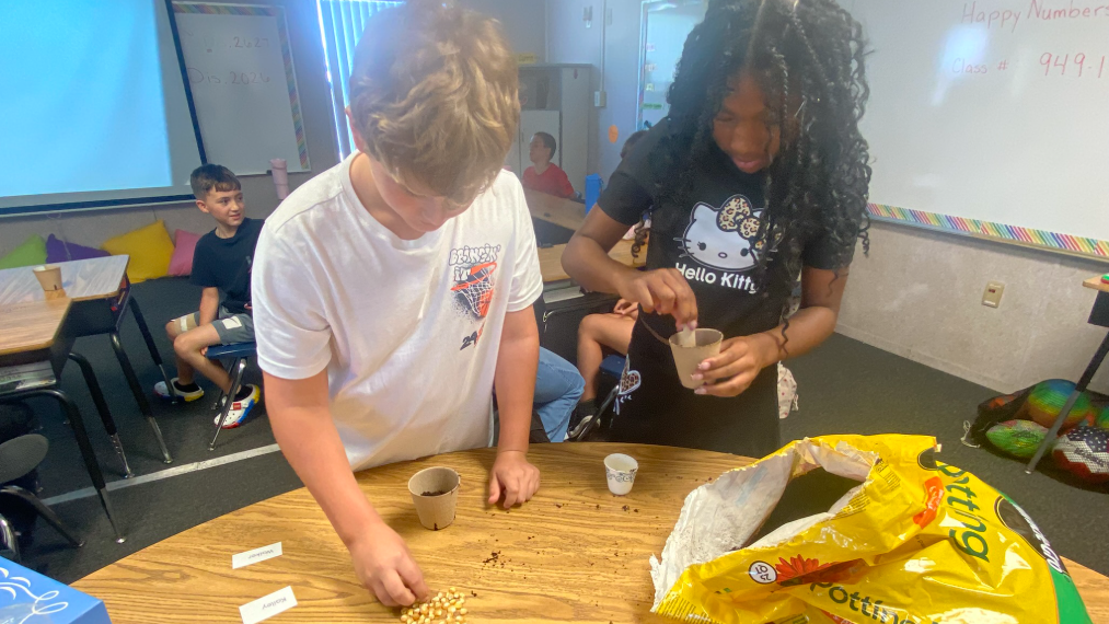 students measuring out soil in a classroom