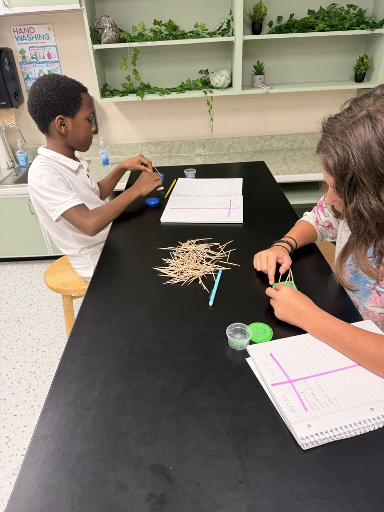 Students in their Science class working on their challenge of creating shapes using popsicle sticks and Play-Doh