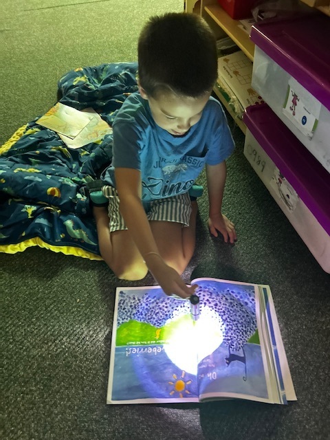 A child sits on the floor, holding a flashlight over an open book with illustrations.
