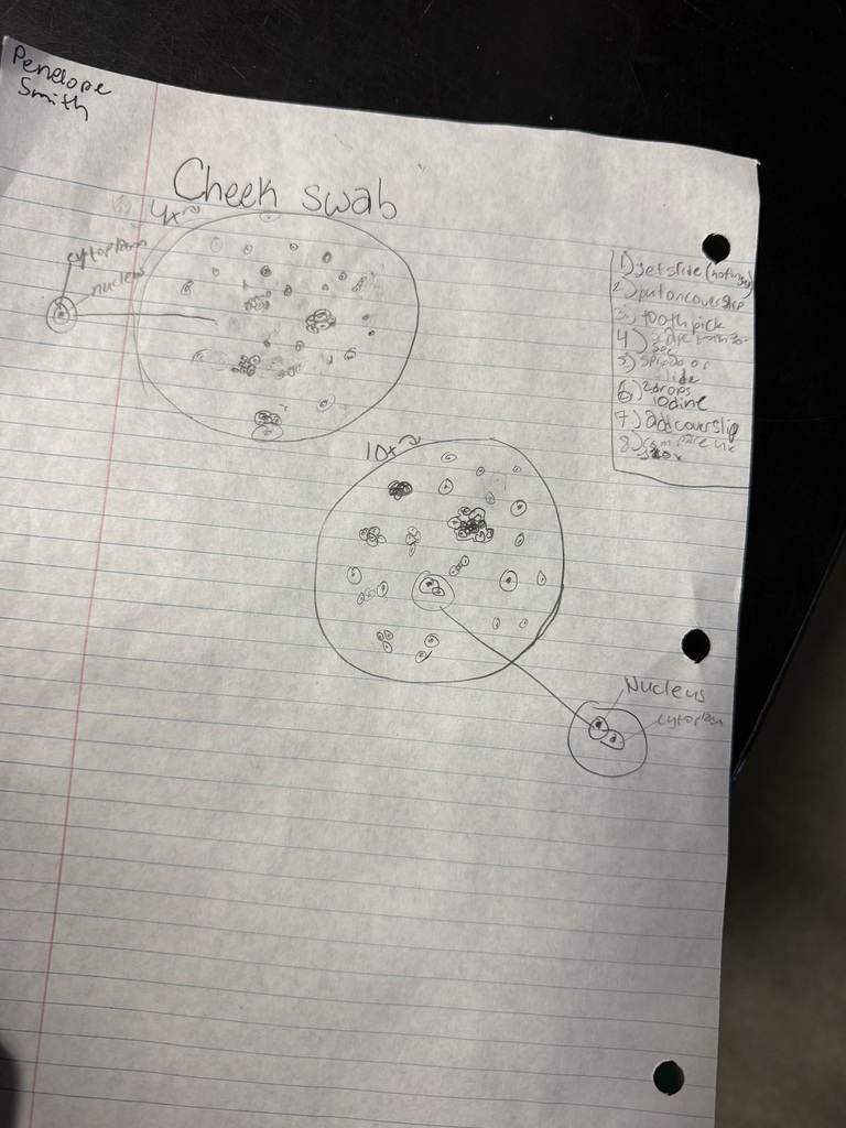 A piece of paper with a handwritten note and three diagrams on it. One diagram includes a label "Creek swab."