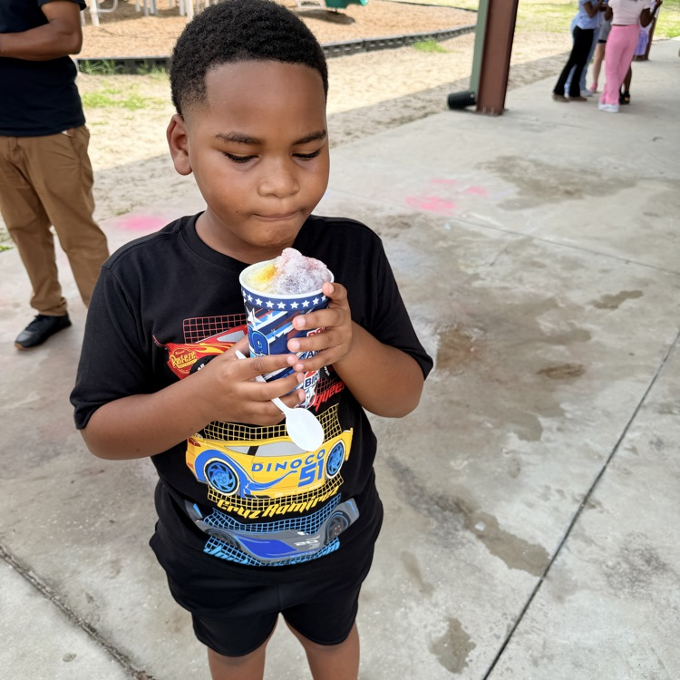 Kona Ice 