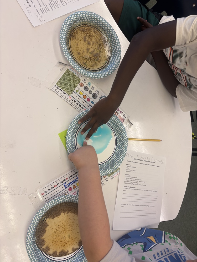 Students working through a Science Investigation
