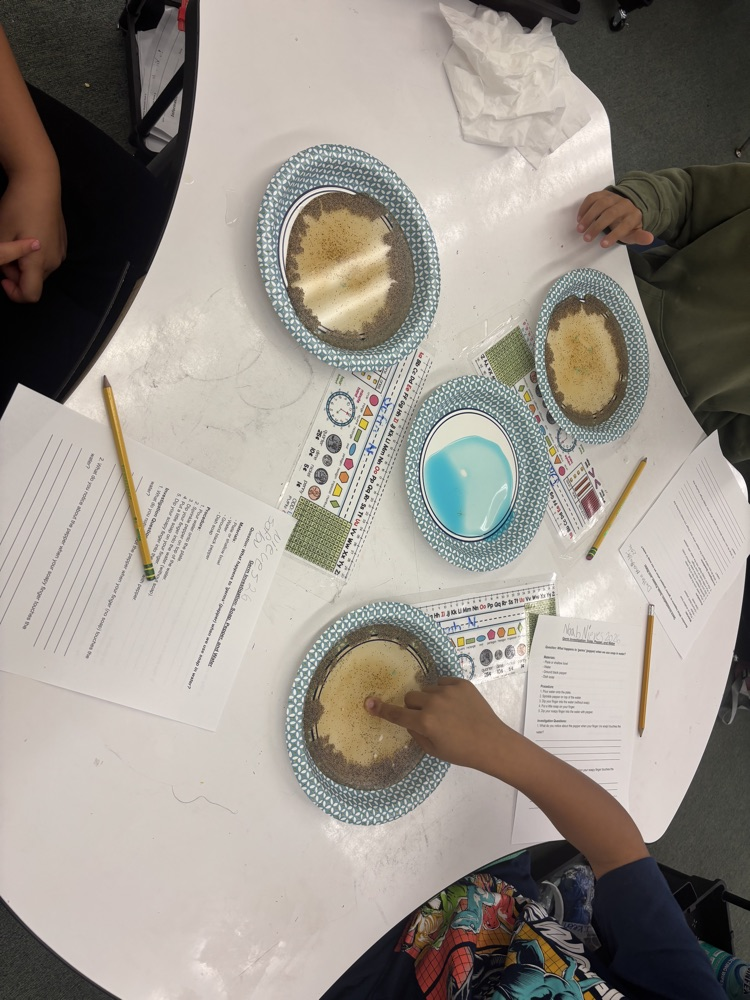 Students working through a Science Investigation