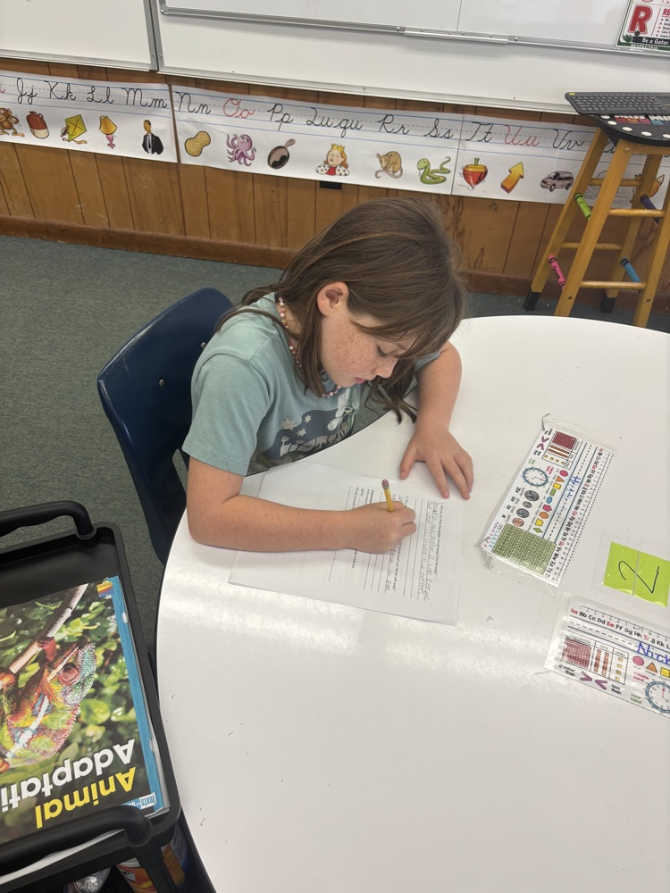 Students working through a Science Investigation