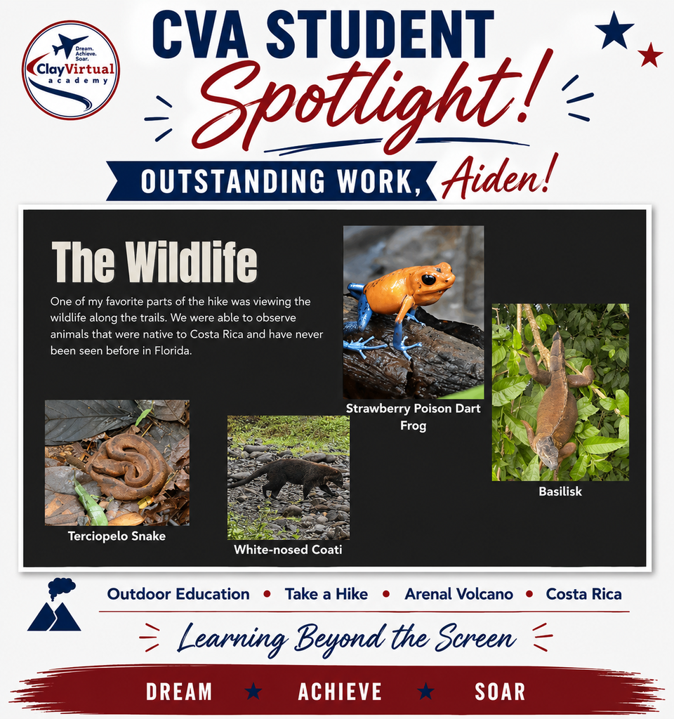 A graphic with text about wildlife. It features photos of a frog, snake, and coati.