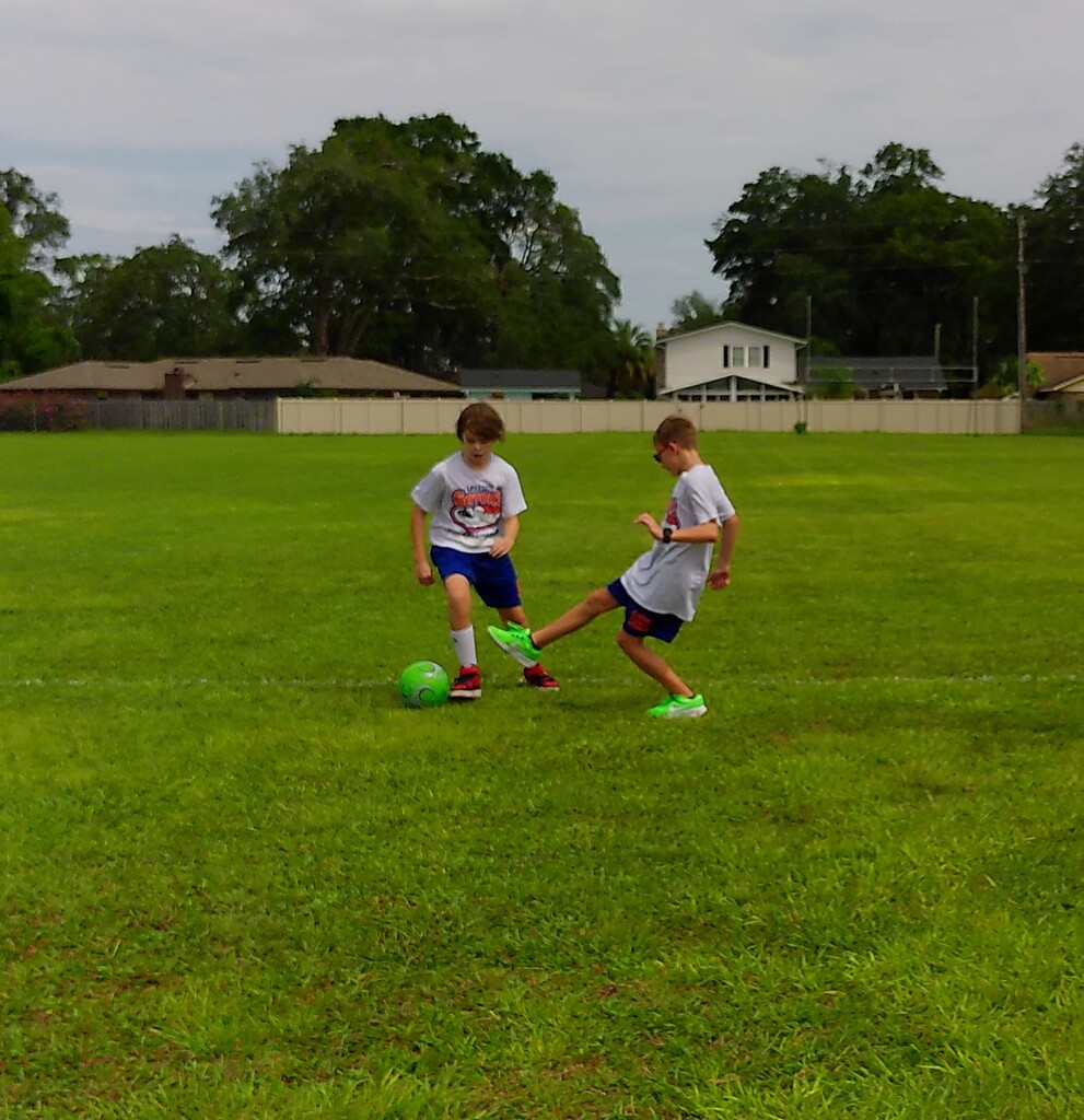 Two children play soccer on a large green field, with one kicking a ball. Trees and buildings in the background.