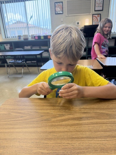 🔍 Mini Scientists on the Loose! 🔍 Mrs. Kilcoin and Mrs. Cioffi’s classes brought out their inner detectives today, zooming in on the world around them with their trusty hand lenses! 🔬✨ Watch out—no tiny detail went unnoticed! 🧪👀 #FutureScientists #HandsOnLearning #ClassroomDetectives #ScienceIsFun