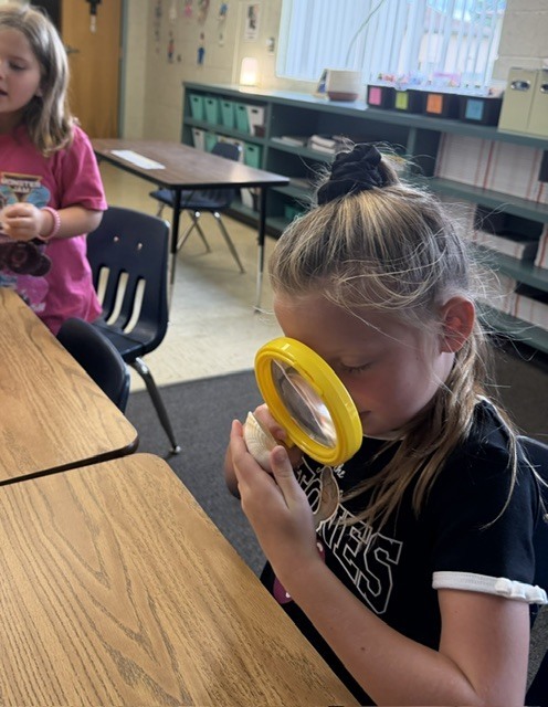 🔍 Mini Scientists on the Loose! 🔍 Mrs. Kilcoin and Mrs. Cioffi’s classes brought out their inner detectives today, zooming in on the world around them with their trusty hand lenses! 🔬✨ Watch out—no tiny detail went unnoticed! 🧪👀 #FutureScientists #HandsOnLearning #ClassroomDetectives #ScienceIsFun