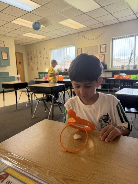🔍 Mini Scientists on the Loose! 🔍 Mrs. Kilcoin and Mrs. Cioffi’s classes brought out their inner detectives today, zooming in on the world around them with their trusty hand lenses! 🔬✨ Watch out—no tiny detail went unnoticed! 🧪👀 #FutureScientists #HandsOnLearning #ClassroomDetectives #ScienceIsFun
