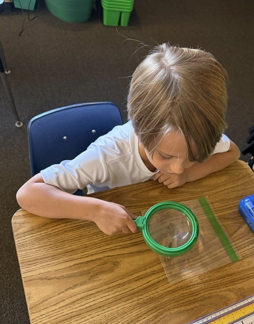 🔍 Mini Scientists on the Loose! 🔍 Mrs. Kilcoin and Mrs. Cioffi’s classes brought out their inner detectives today, zooming in on the world around them with their trusty hand lenses! 🔬✨ Watch out—no tiny detail went unnoticed! 🧪👀 #FutureScientists #HandsOnLearning #ClassroomDetectives #ScienceIsFun