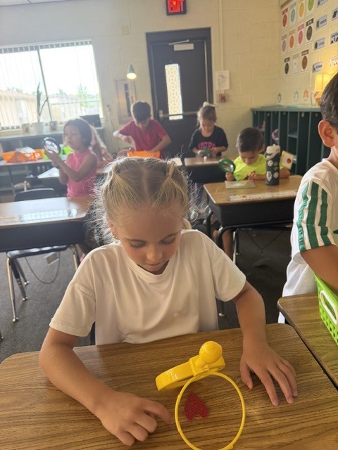 🔍 Mini Scientists on the Loose! 🔍 Mrs. Kilcoin and Mrs. Cioffi’s classes brought out their inner detectives today, zooming in on the world around them with their trusty hand lenses! 🔬✨ Watch out—no tiny detail went unnoticed! 🧪👀 #FutureScientists #HandsOnLearning #ClassroomDetectives #ScienceIsFun