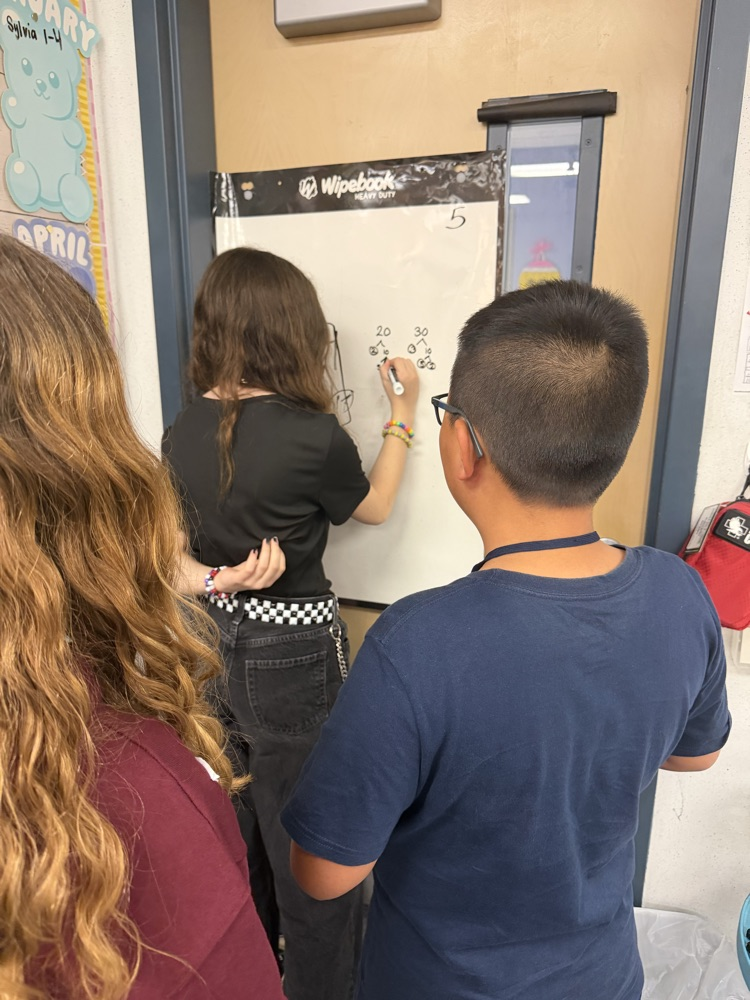 Mrs. McNeil’s Mathematicians