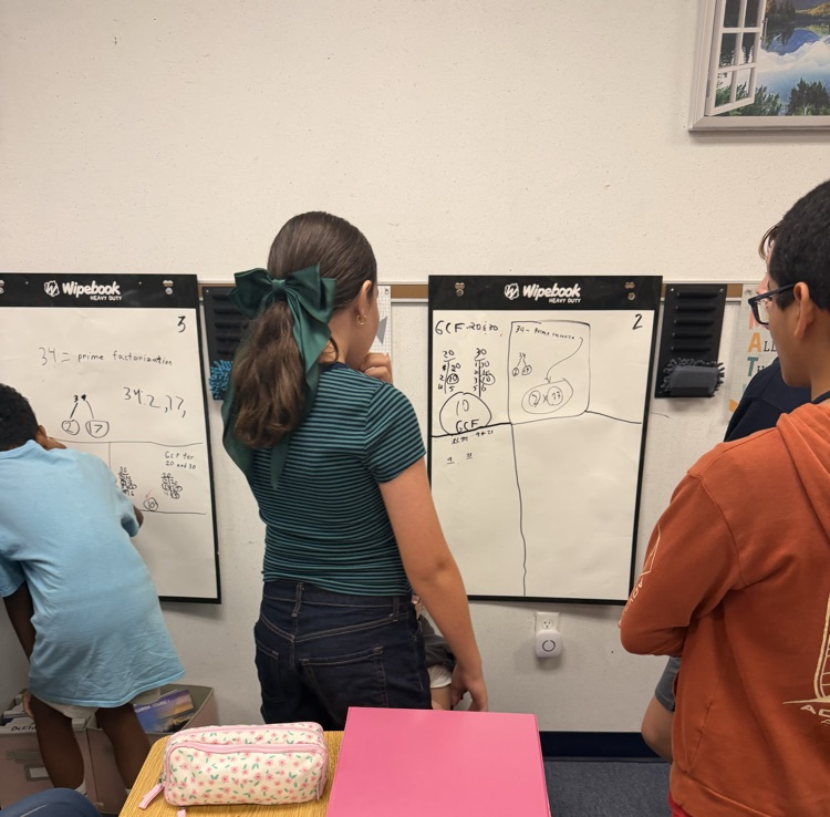 Mrs. McNeil’s Mathematicians