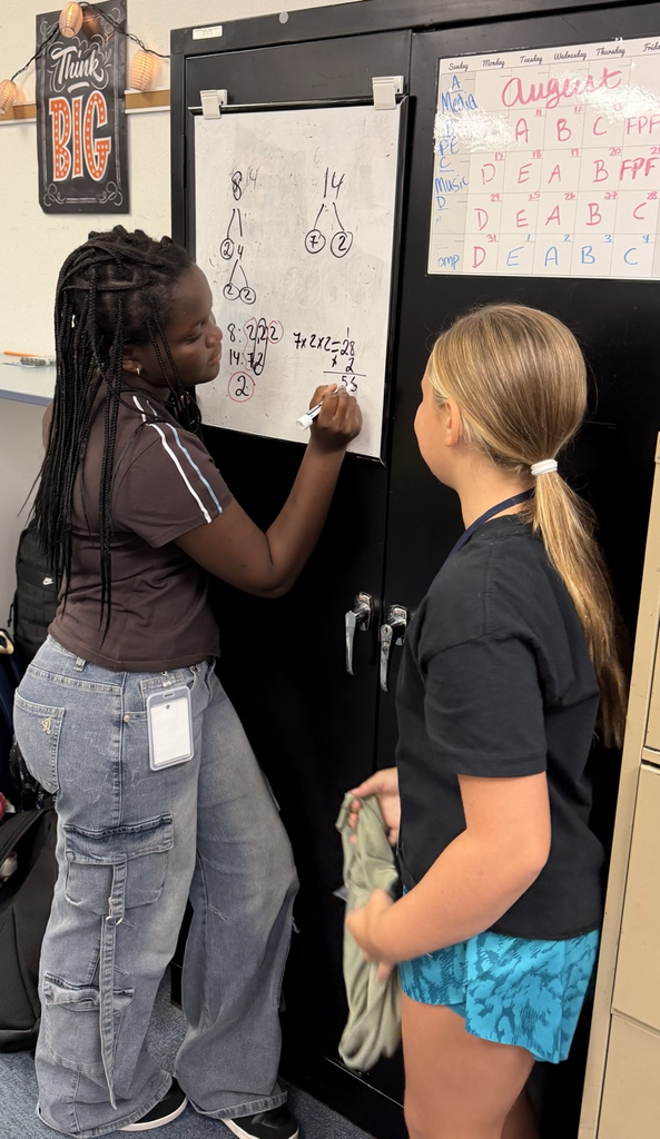 Mrs. McNeil’s Mathematicians