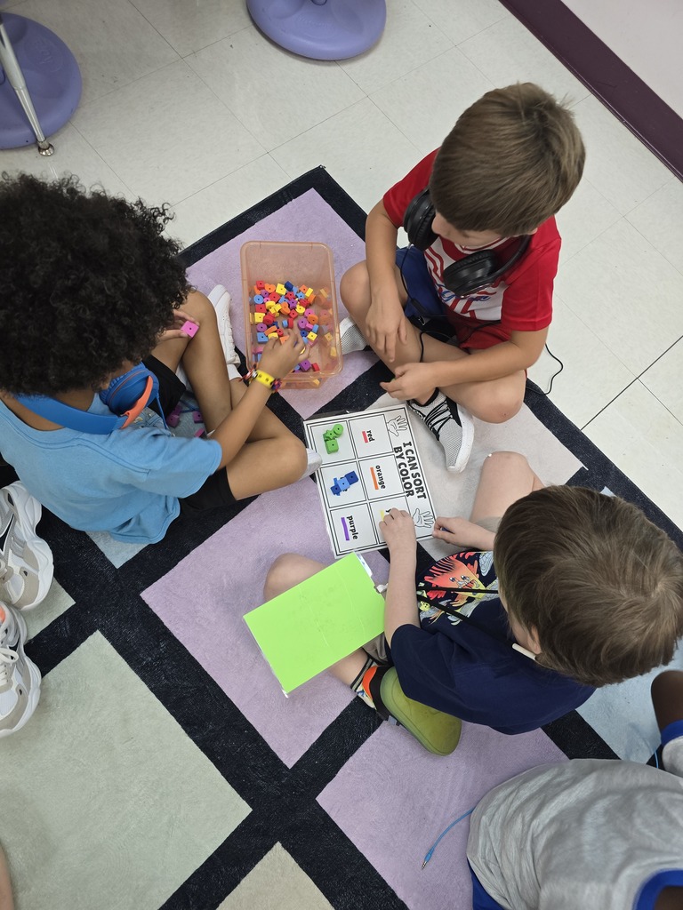 Four kids sit on a rug, engaging with a sorting activity. One holds a green card.