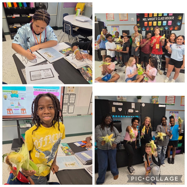 Picture of Students connecting their analysis of informational text with a hands-on activity using real corn to make meaningful, real-world connections.