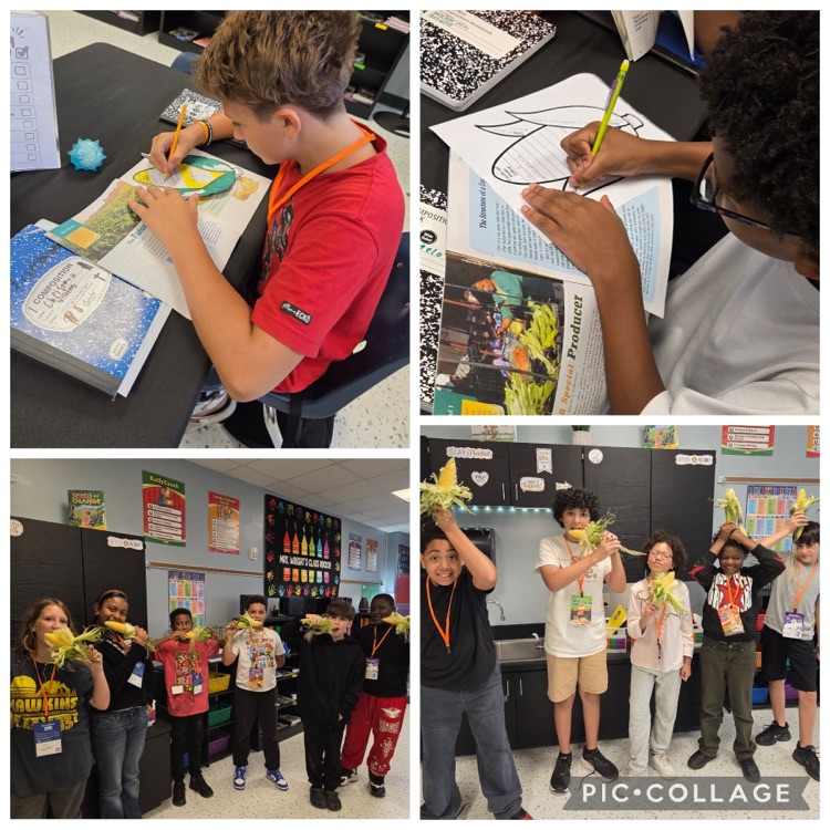 Picture of Students connecting their analysis of informational text with a hands-on activity using real corn to make meaningful, real-world connections.