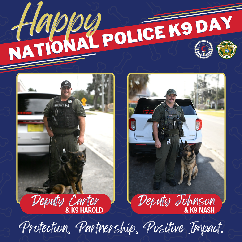 Happy National Police K9 Day! Deputy Carter and K9 Harold and Deputy Johnson and K9 Nash.  Protection. Partnership. Positive Impact.