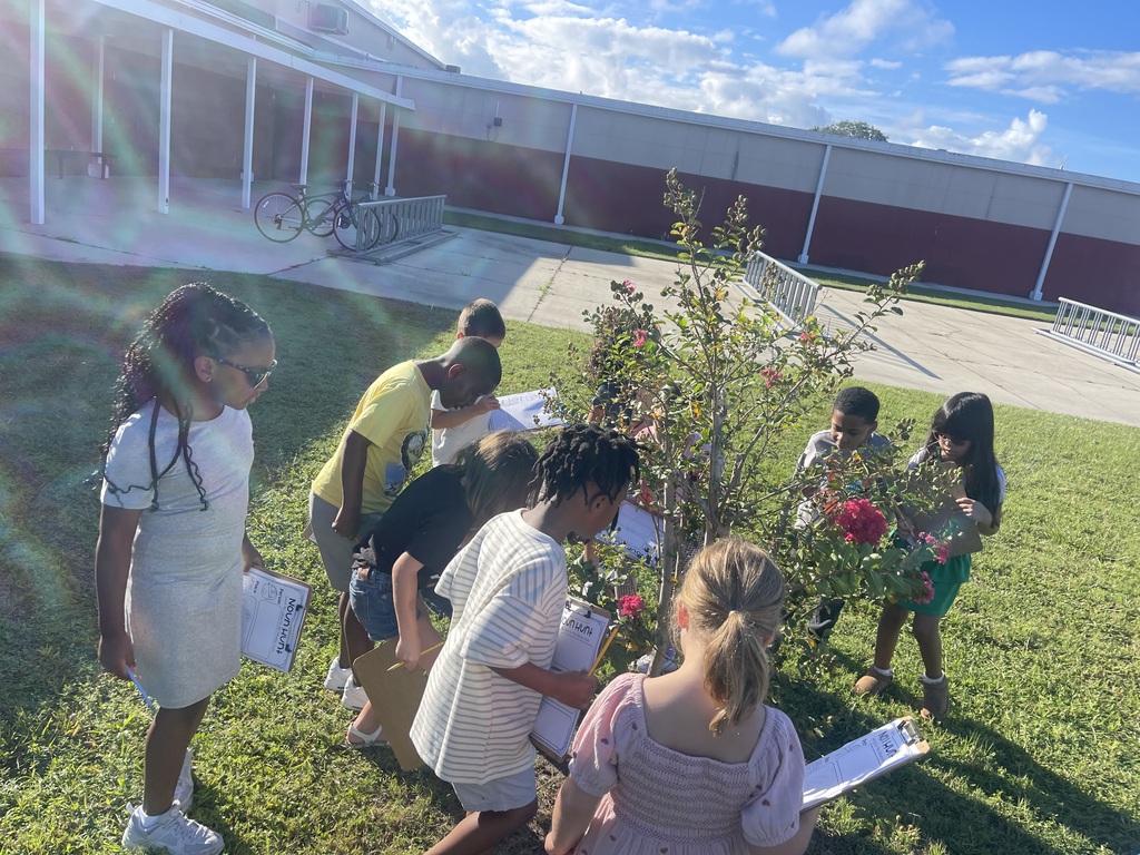 Several students are outdoors, gathered around a tree with flowers, engaging in an activity.