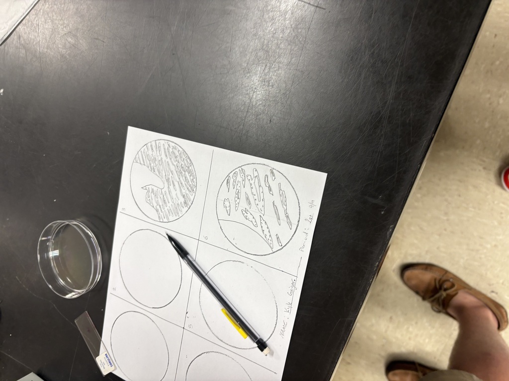 A table has a white paper with four circles drawn, a pen placed, and a small glass cup.