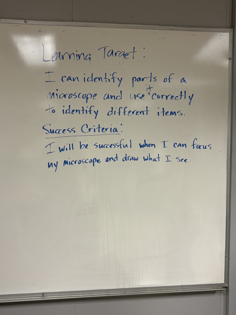 A whiteboard displays blue text describing a learning target and success criteria, written in a clear, legible font.