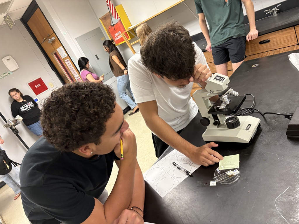 Two students use a microscope in a classroom with other students in the background. One student wears a black shirt, the other a white shirt.