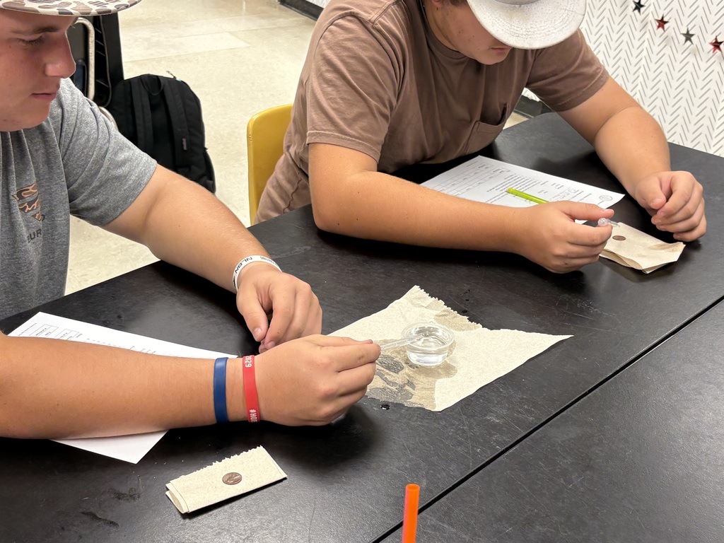 Students using a dropper