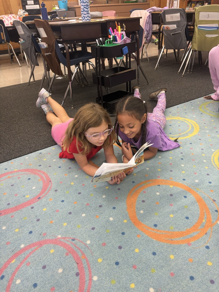 Students sitting on the carpet reading with partners