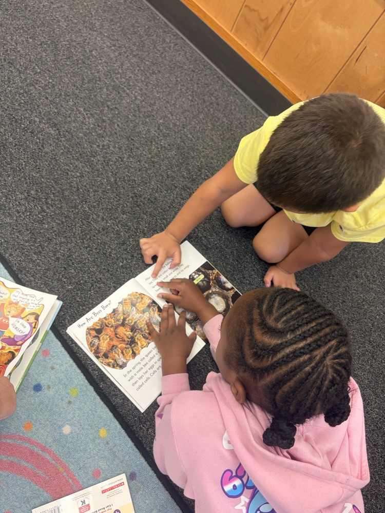 Students sitting on the carpet reading with partners