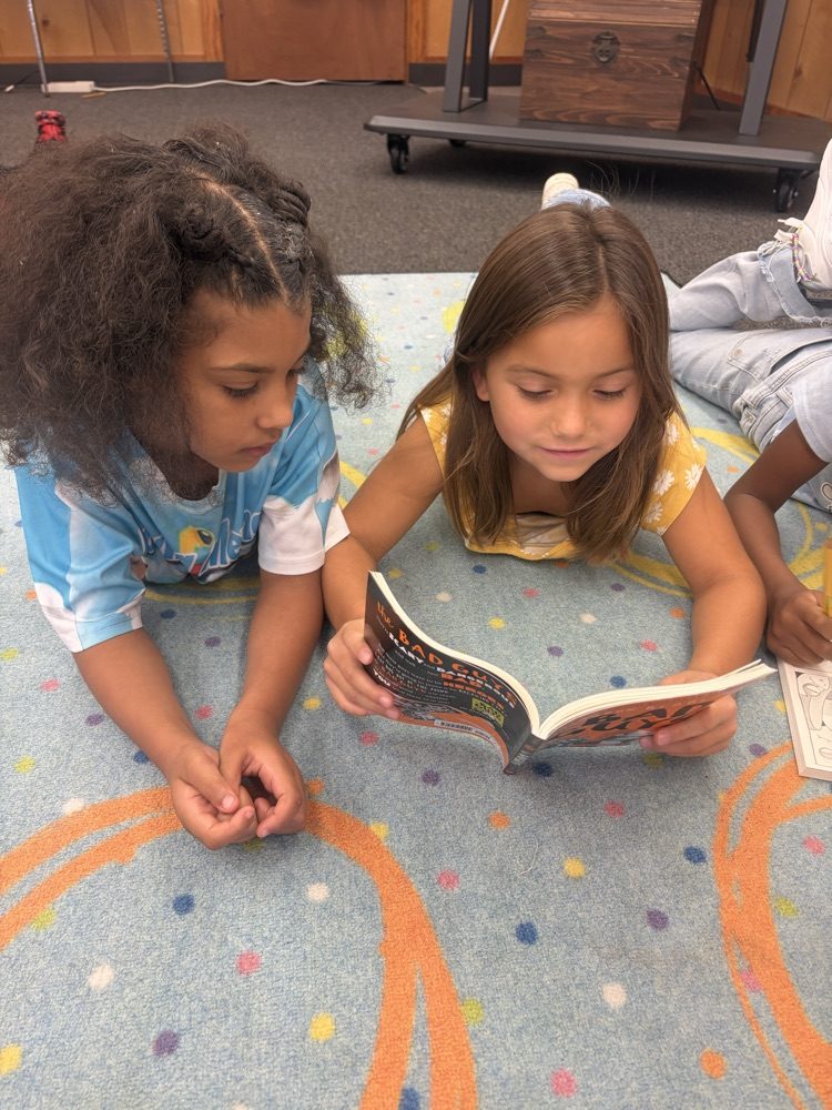 Students sitting on the carpet reading with partners