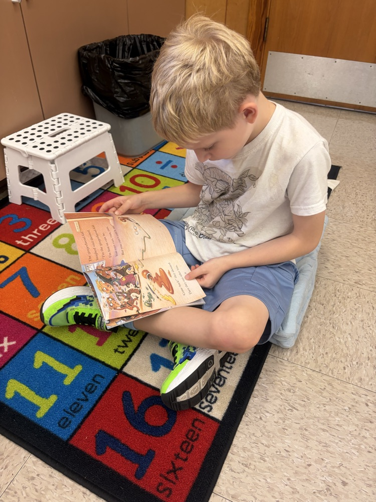 Students sitting on the carpet reading with partners