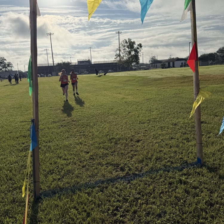 Cross Country Meet