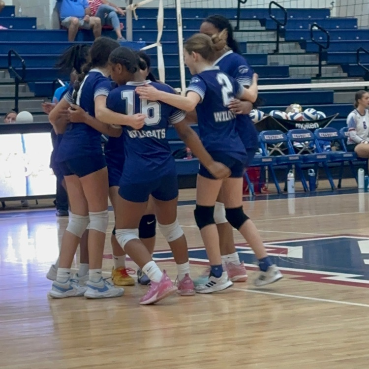 VB