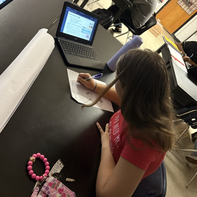 student working