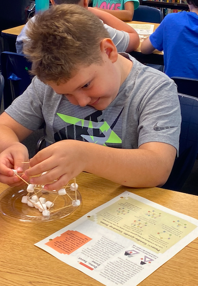 A boy wearing a gray t-shirt works on a model with marshmallows and toothpicks on a table.
