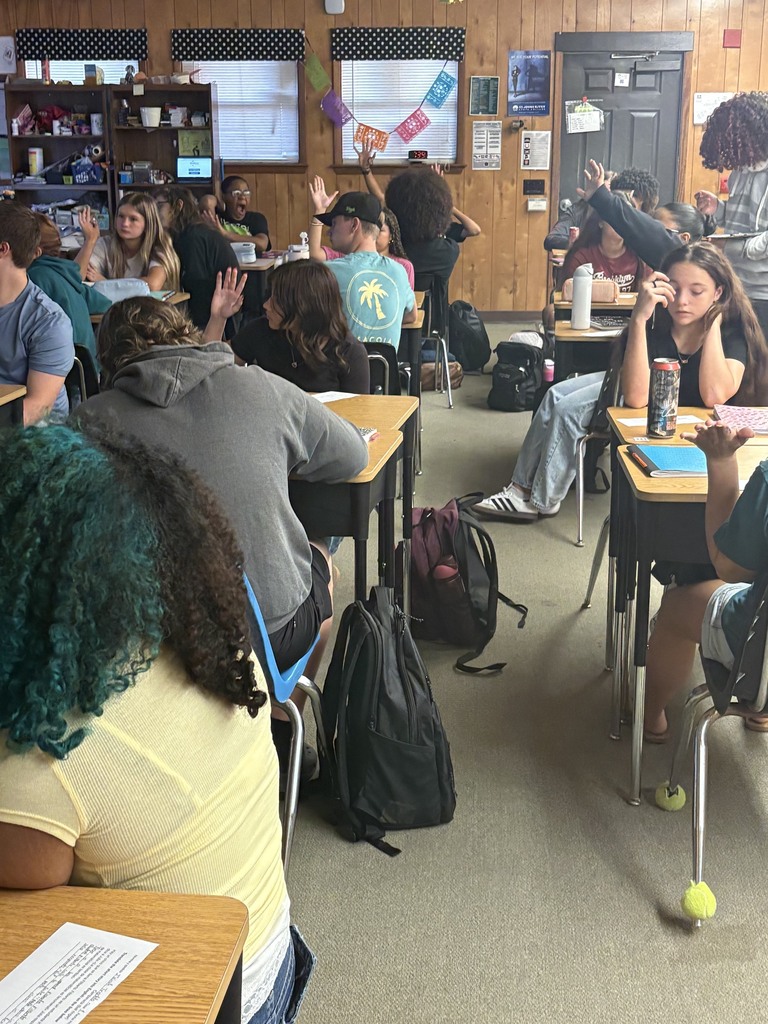 STudents raising their hands