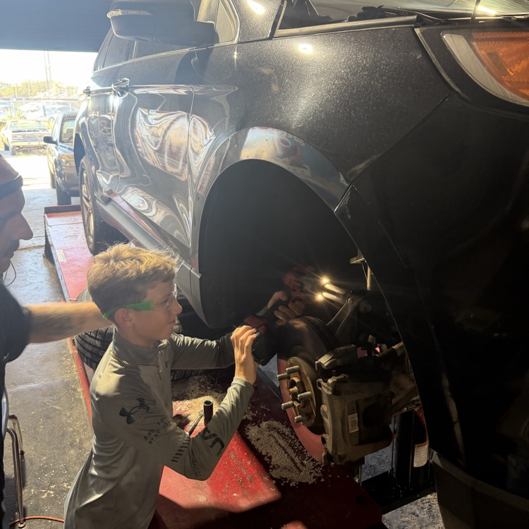 Shock Replacement