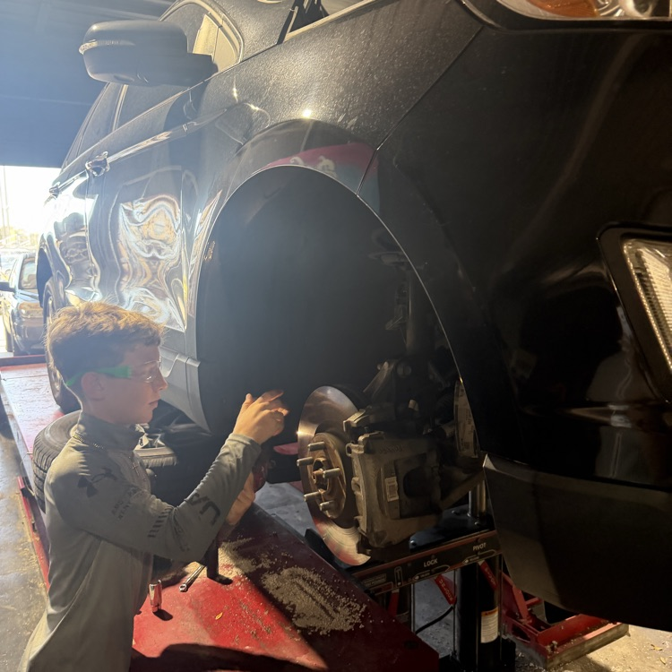 Shock Replacement