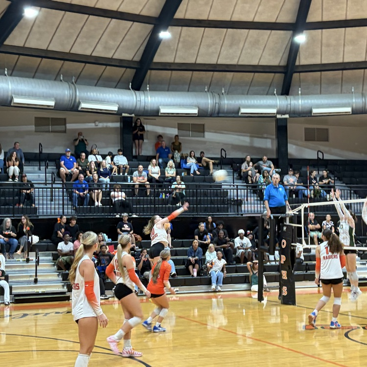 Volleyball vs Nease