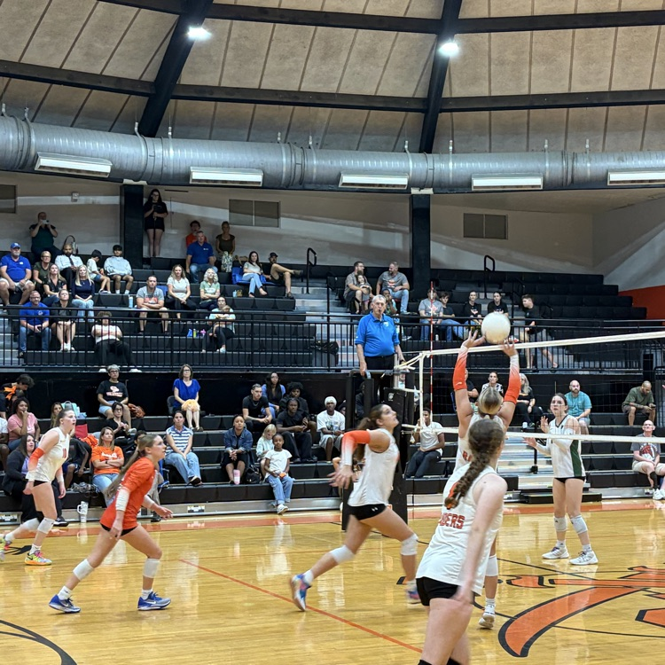 Volleyball vs Nease